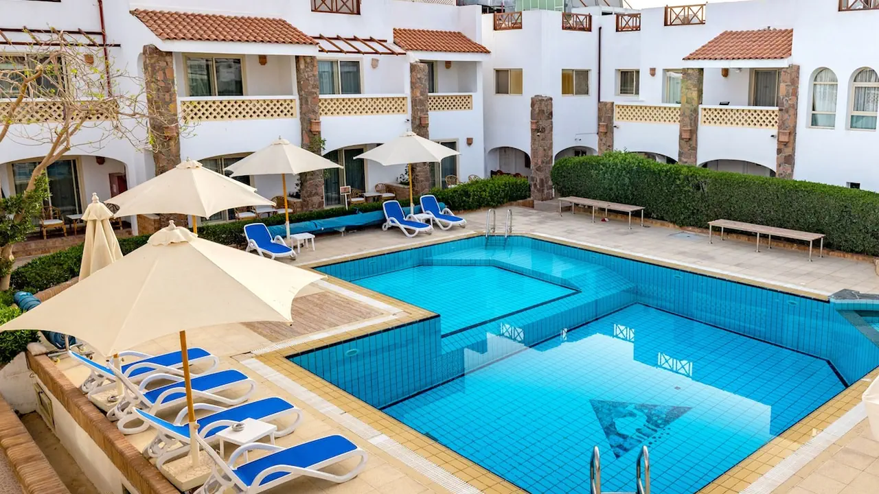 Camel Dive Club